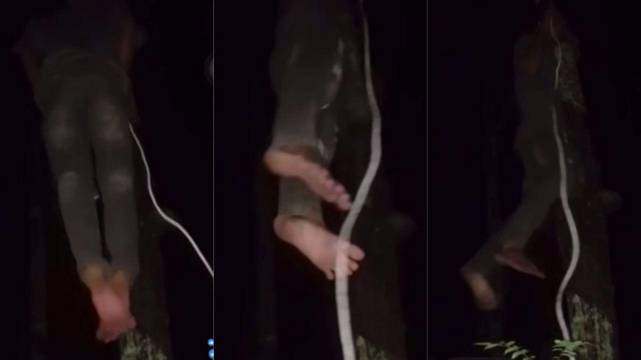 柬埔寨西港30岁男子被20岁小女人骗钱又骗情 一次聊天收费5美元 直播情绪崩溃上吊身亡！封面图