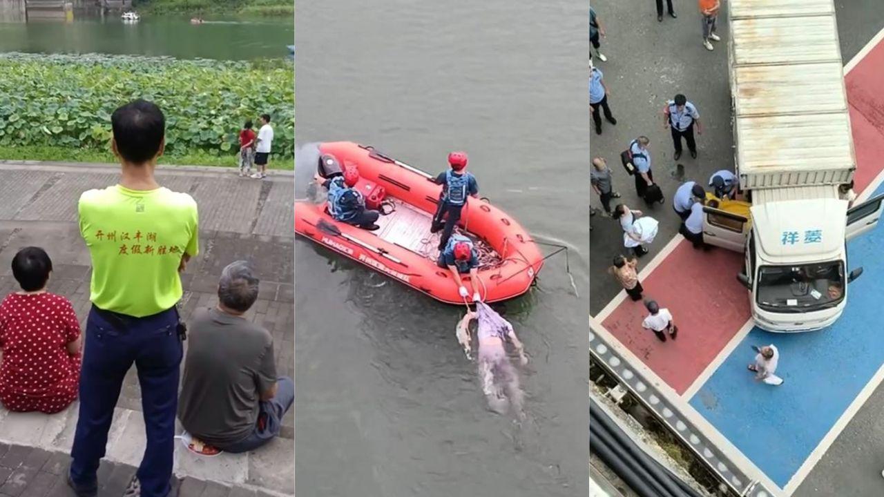 重庆开州潘姓小伙跳石龙大桥自杀 老婆打牌成瘾不归家 长期生活压力大 换个女人不就得了 何苦用命为她买单！封面图