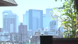 成為鄰居情婦的妻子19 葵玲奈 NDRA-062封面图