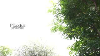 為了深愛的老公成為真人娃娃被陌生人侵犯的我 椎名空 MIAA-131封面图