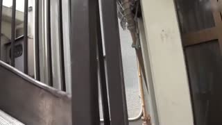 OKAX-485-CN_趁放鬆瞬間襲擊 無法逃脫 從後面強硬手淫和舌尖愛撫…4小時封面图