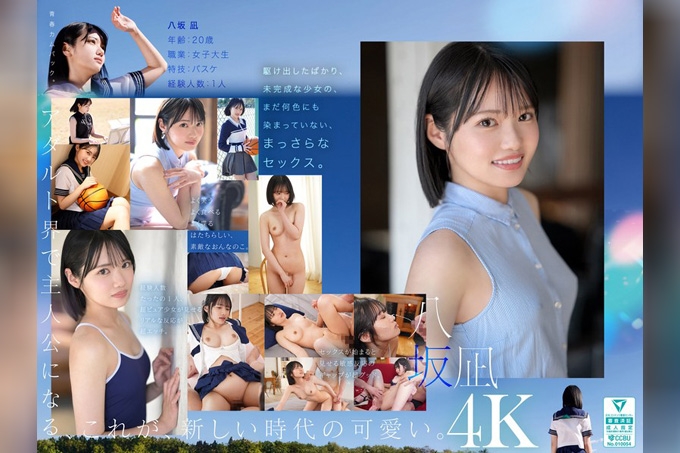 新・新人出道 最新的可爱担当 AV 八阪凪封面图