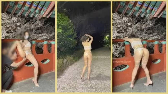 ✿淫娃御姐✿完美身材究极蜜臀女神樱花外景情趣蕾丝露出后入极品蜜臀内射鲜鲍吐汁淫靡观光台封面图