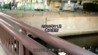 順從寢取願望老公的真正素人人妻 case16 專業主婦・高木陽菜（假名）26歳 SDNT-017封面图