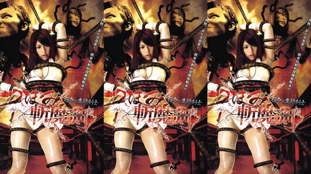 斩魔剑宿命之少女剑士封面图