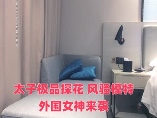 太子极品探花 风骚模特外围女神来袭封面图