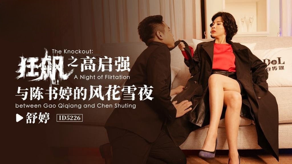 IDG5226 狂飙之高齐强与陈书婷的风花雪夜 舒婷封面图