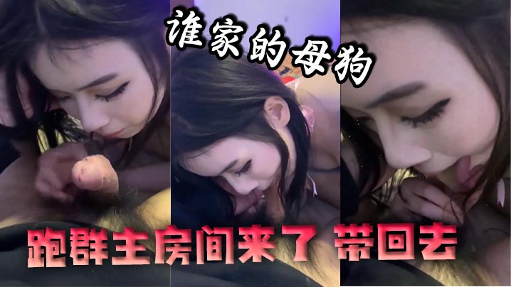 谁家的母狗跑群主房间来了带回去封面图