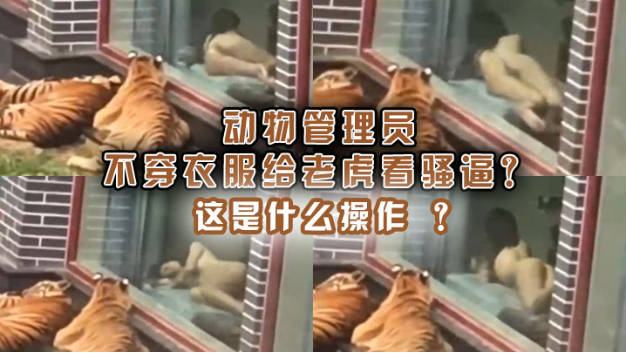 动物管理员不穿衣服给老虎看骚逼这是什么操作封面图