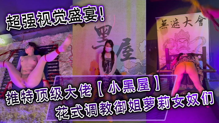 超强视觉盛宴推特顶级大佬小黑屋订阅最全完整视图集花式调教御姐萝莉女奴们封面图