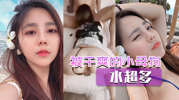 被干爽的小母狗水超多封面图