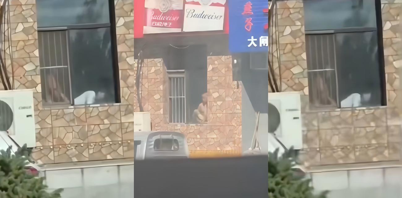 白山万历烧鸽子大瓜，门店装修窗前交欢路人偷拍视频火遍全网，老板借机宣传堪称商业鬼才封面图