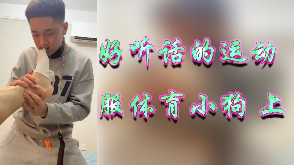 好听话的运动服体育小狗上封面图