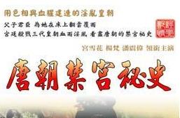 香港三级片唐朝禁宫秘史封面图