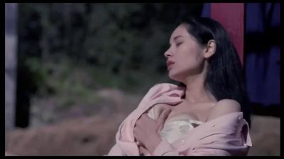 香港三级片《借种》封面图