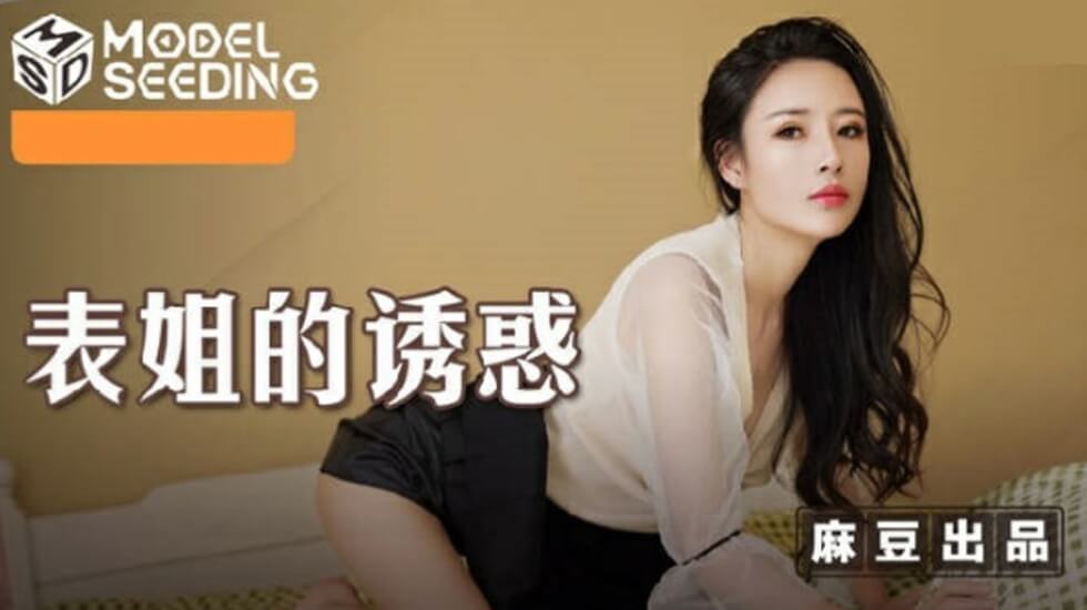 表姐的诱惑陈小雨封面图