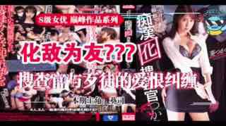 钓鱼执法的葵司搜查官，放弃尊严与流氓化敌为友为哪般？。封面图