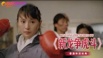 新龙争虎斗封面图