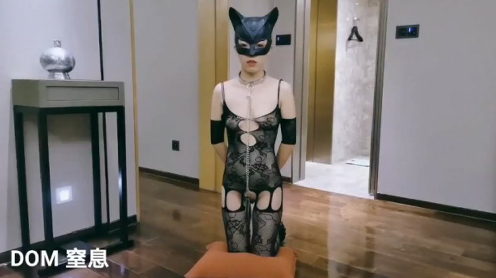 窒息完全犬化—天的母狗封面图