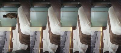 横扫全国探花 横扫全国12.7封面图