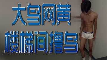 大鸟网黄楼梯间撸鸟封面图