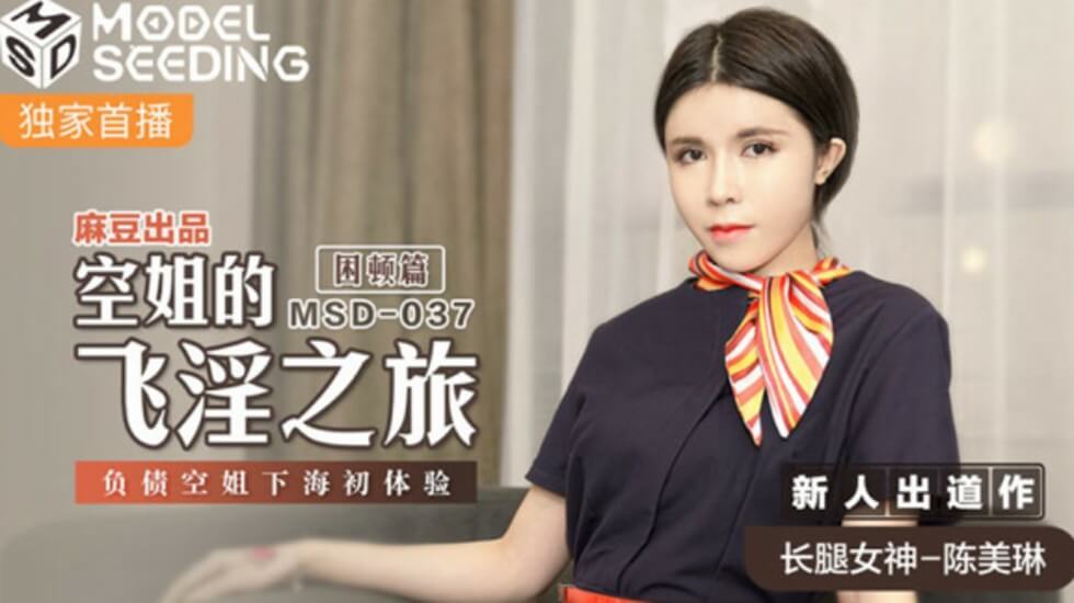 麻豆-空姐的飞淫之旅负债空姐下海初体验-陈美琳封面图