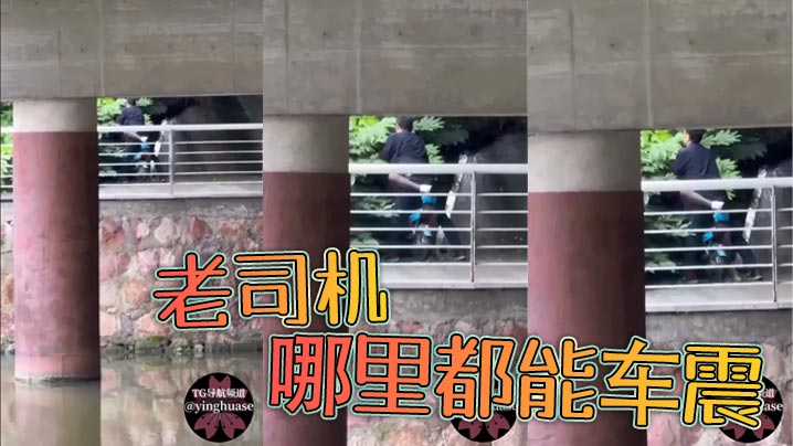 老司机，哪里都能车震封面图