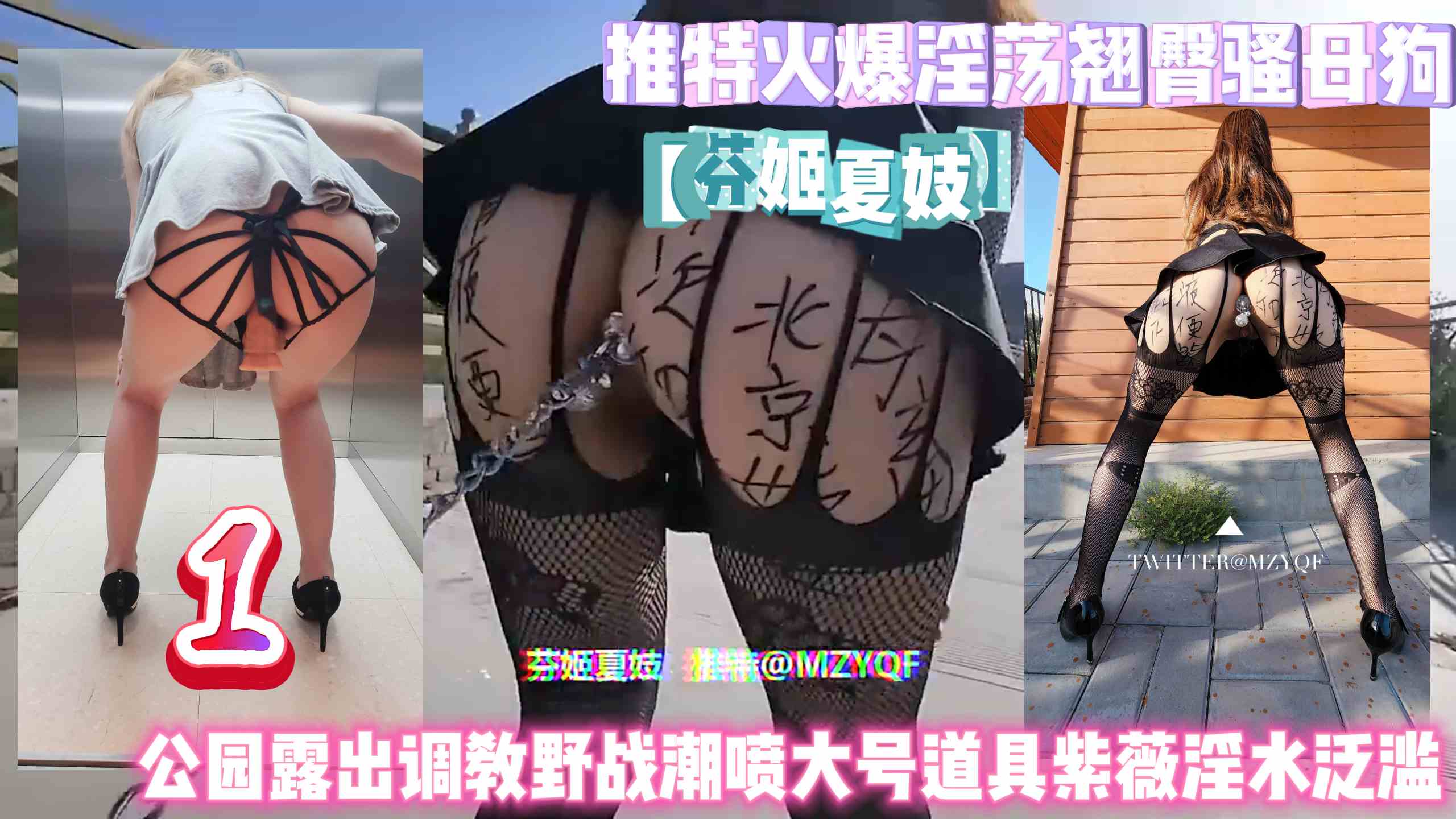 推特火爆淫荡翘臀骚母狗【芬姬夏妓】公园露出调教野战淫水泛滥1封面图