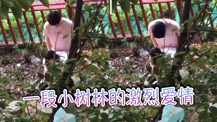 一段小树林的激烈爱情封面图